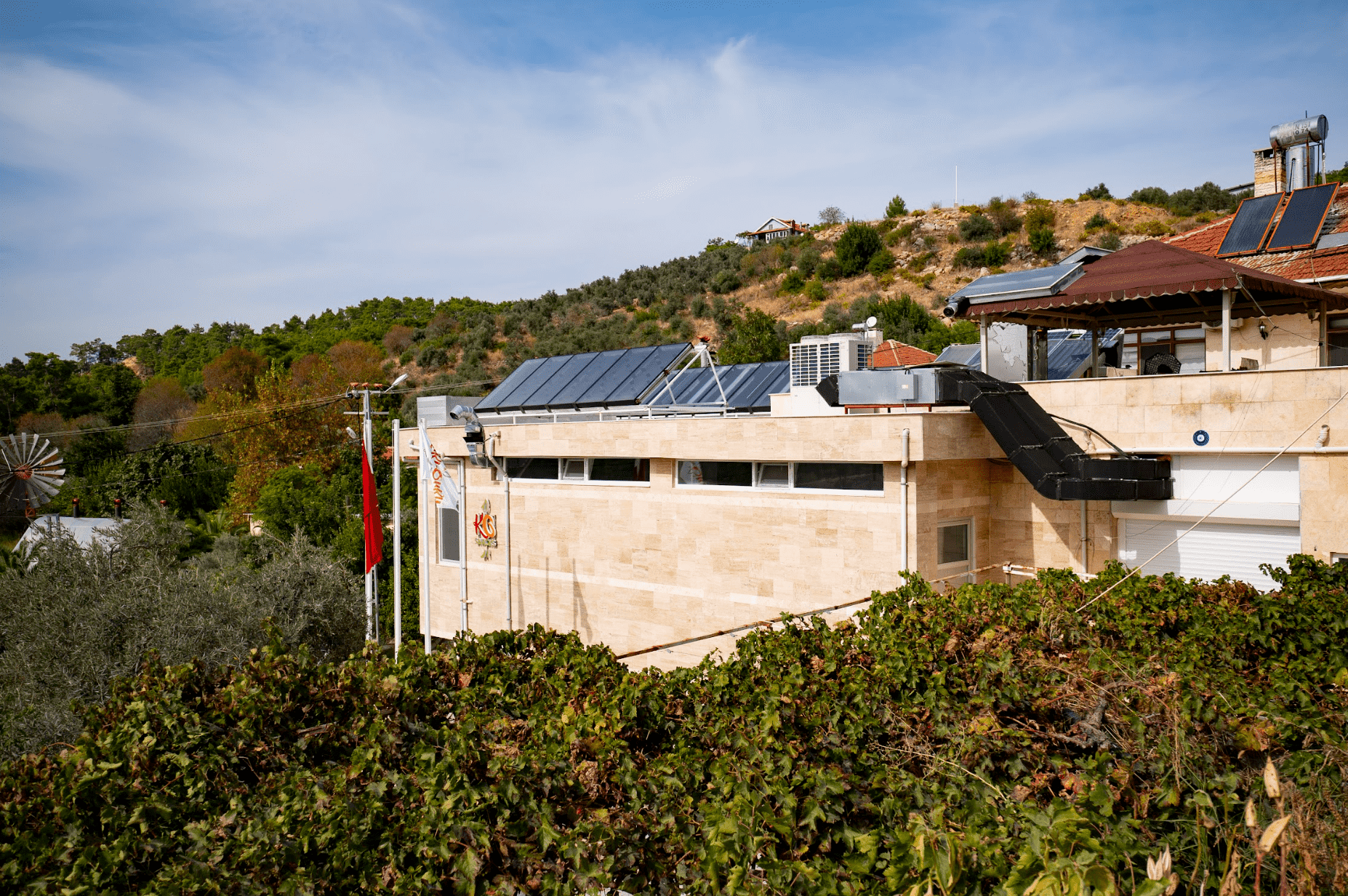 Screen Shot 2023-11-07 at 9.26.54 AM