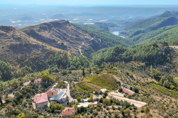 Screen Shot 2023-11-08 at 2.45.43 PM Screen Shot 2023-11-08 at 2.45.43 PM