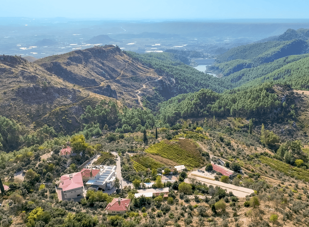 Screen Shot 2023-11-08 at 2.45.43 PM