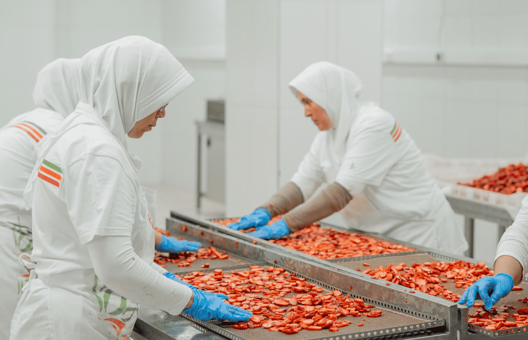 Screen Shot 2023-11-09 at 10.11.31 AM