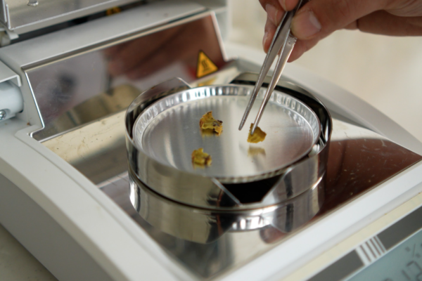 Screen Shot 2023-11-09 at 9.36.53 AM Screen Shot 2023-11-09 at 9.36.53 AM