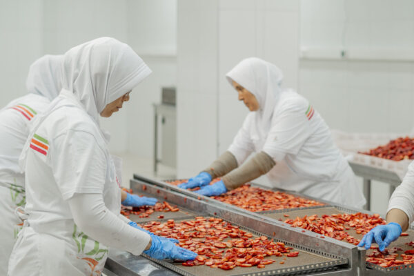 KuruGuru2.gün-30 KuruGuru2.gün-30